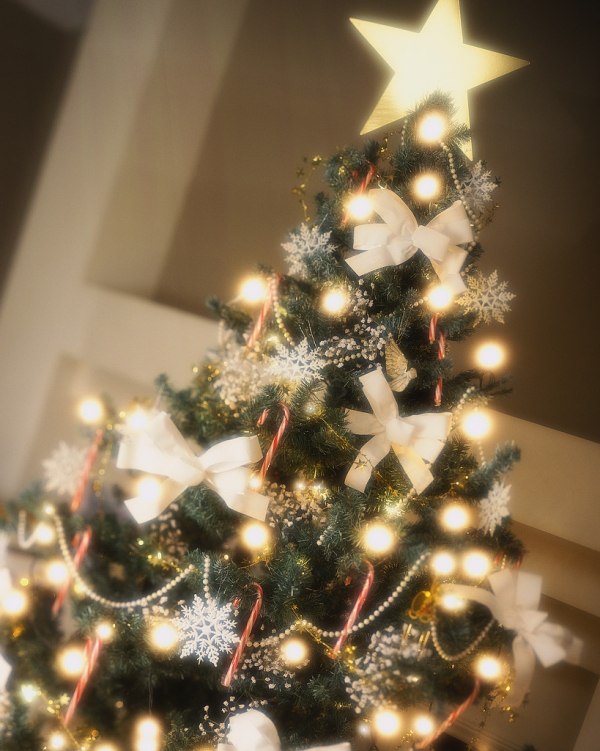 Weihnachten Schmuck-Licht Schleifen-Bänder Lichterkette Leds kabellos