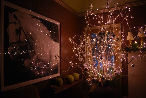 Weihnachtsbeleuchtung LED Lichterketten zweige vase perlen ketten