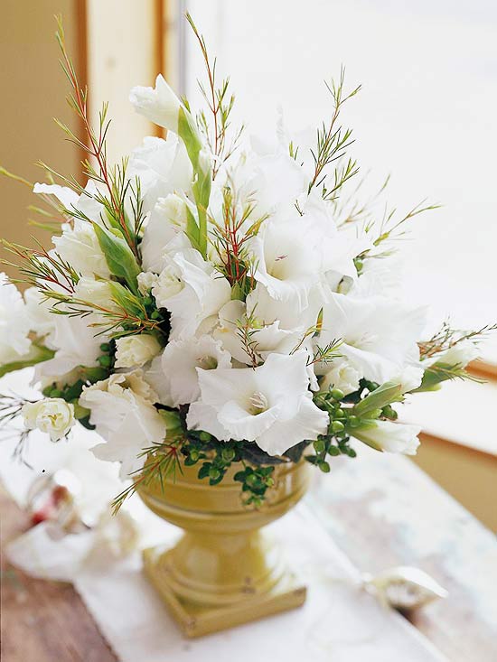 Weiße Hyazinthe-frisch lebendiger Blumenstrauß Blumentopf-Weihnachten Tafel