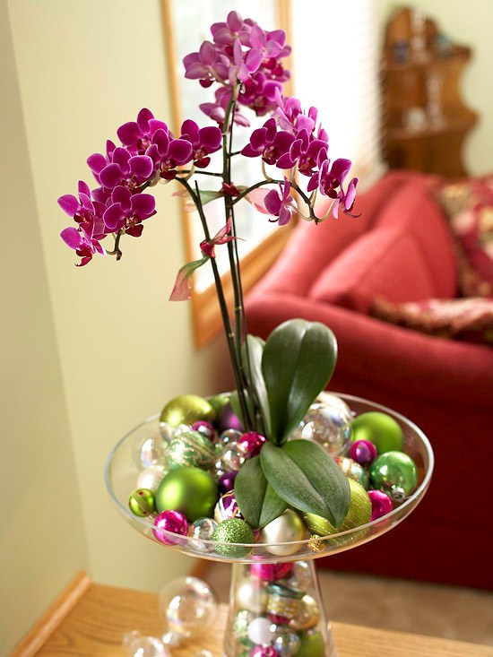 Winter blühende Pflanzen lila orchideen baumkugeln weihnachten