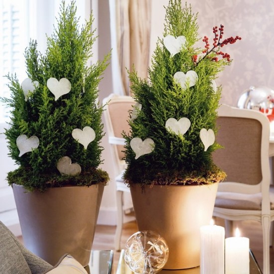 Winter zimmerflanzen mini tannenbaum topf papierherzen weihnachten