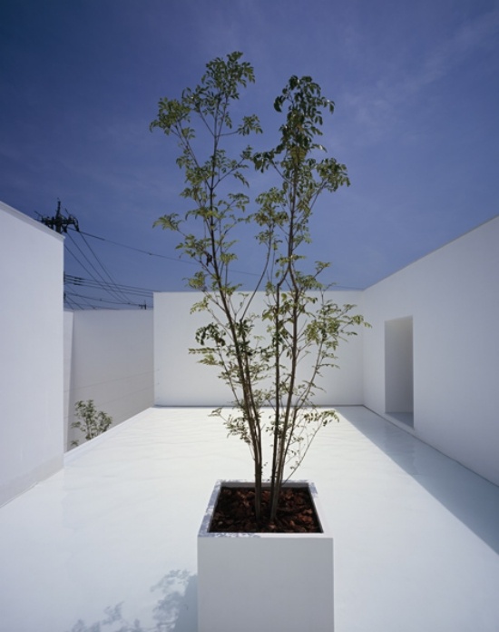 japanische architektur beton haus minimalistisch trendig schicht innenhof