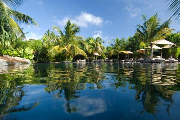 malediven exotisch bäume luxus resort iruvili privatinsel