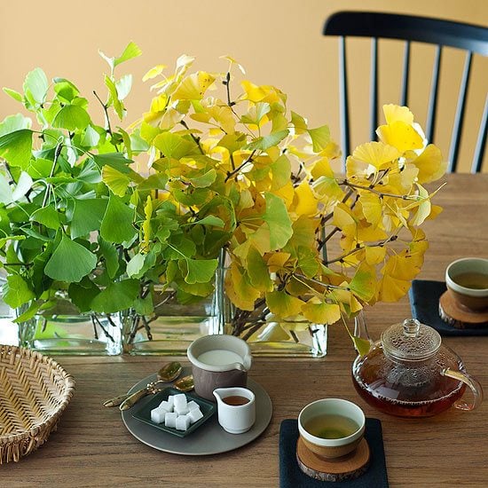 herbstdekorationen tisch ginobiloba grün gelb tee