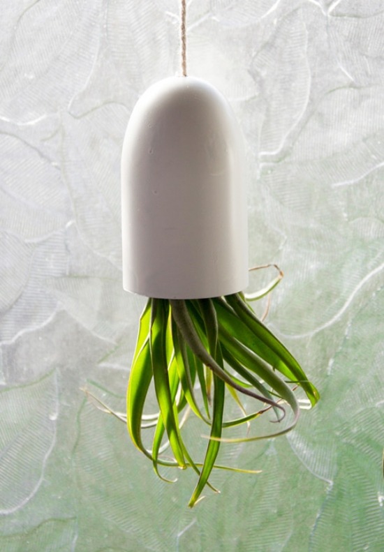 trendig hängende pflanzen deko ideen mini terrarium