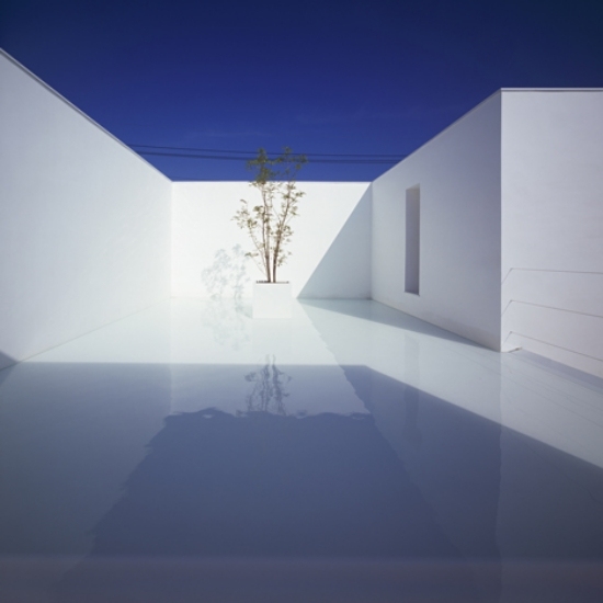 trendig minimalismus haus beton japanisch architekten pflanze