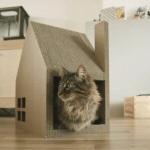 modernes Katzenhaus Kratzbaum langhaarige Katze Wohnung Holzboden