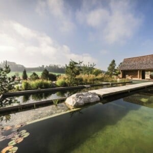 natürlich leben Schwimmteich Wasser Reinigungsystem Garten Hütte Gebirge