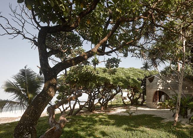 palmen Palisanderbäume-Wald-Hotel poolanlage Betonstrukturen