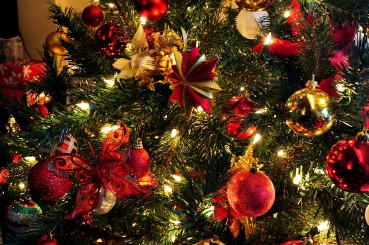 weihnachtsbaum auswählen rot christbaumschmuck sterne gold lichterkette