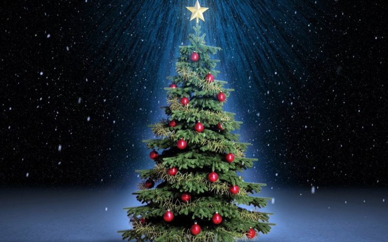 weihnachtsbaum auswählen tipps ideen dekoration baumschmuck