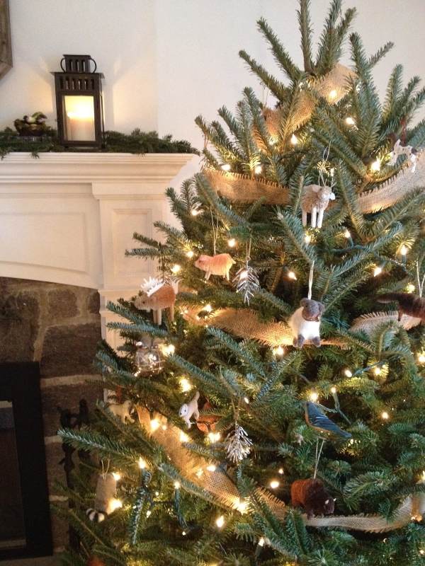 weihnachtsbaum auswählen douglasie lichterketten sackleinen band