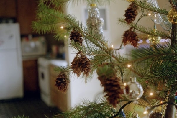 weihnachtsbaum auswählen tipps zapfen weihnachtsbaumschmuck