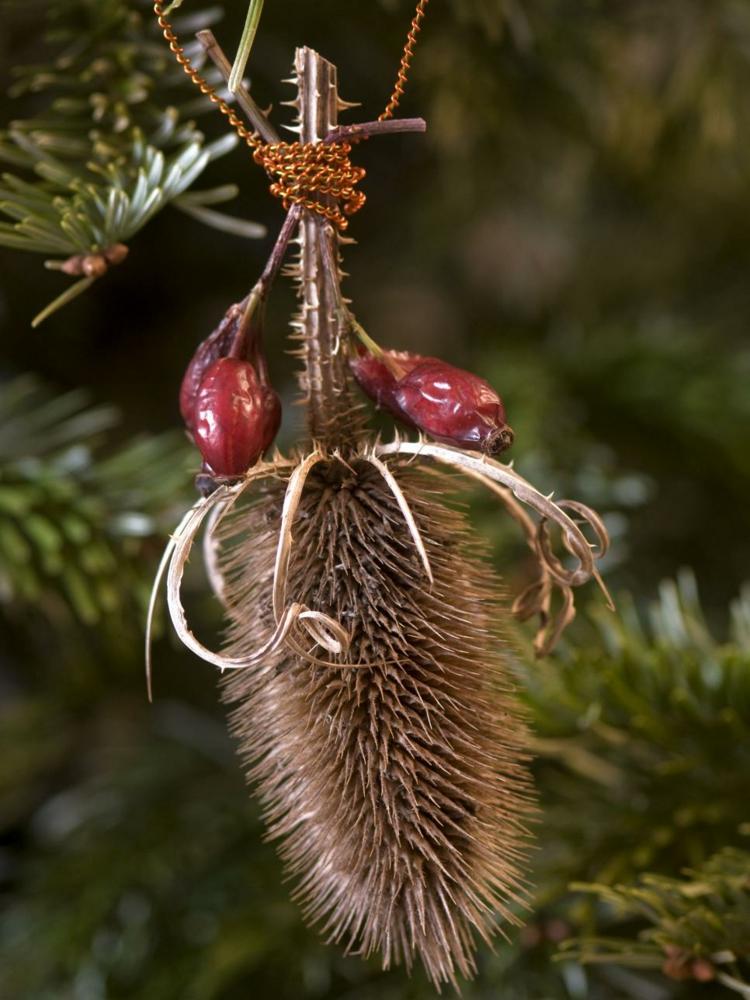 weihnachtsbaumschmuck aus naturmaterialien hagebutten-anhaenger-idee-diy