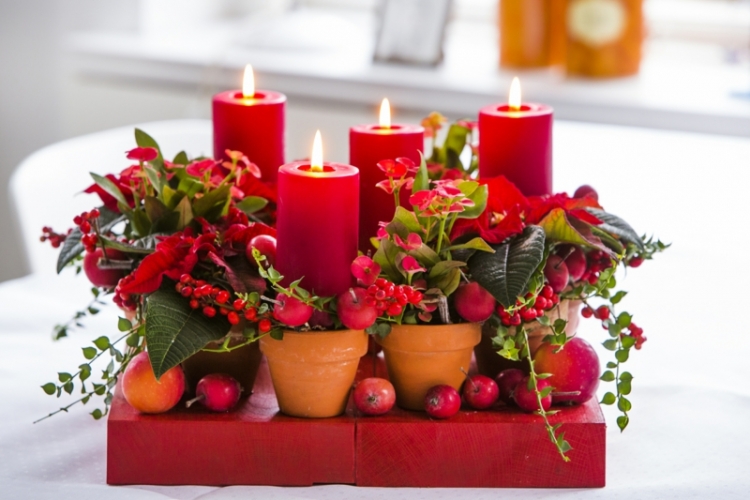 winter blühende pflanzen tischdeko weihnachtsstern tontoepfe kerze