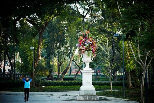 Blumengestecke enorm Park Eingang Mexiko