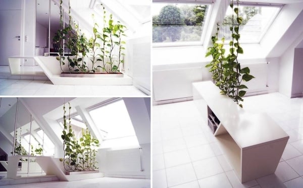 Grüne Wand-Winter Garten Sichtschutz nachhaltig Raumteiler Ideen