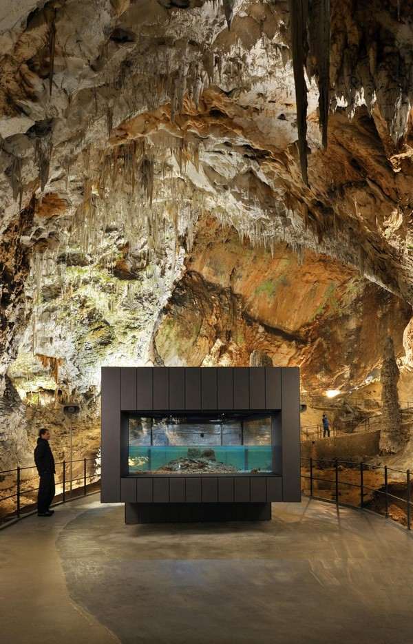  Aquarium Höhle Postojna Olm Fotos Touristenattraktionen