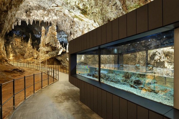 Umfeld Salamander Aquarium Höhle Postojna