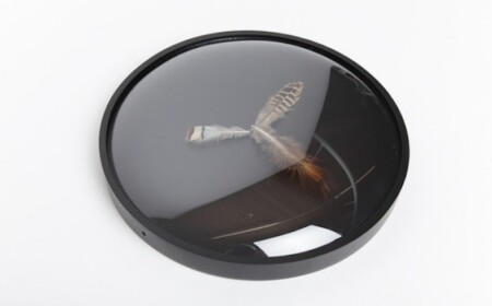 Wanduhr Design-Feather Clock-Atelier d Excercises Uhrzeiger Federn