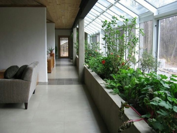 Wintergarten Lage Sonniger Ort Tipps-Pflanzen Wahl-Verglaste Wand Wohnzimmer
