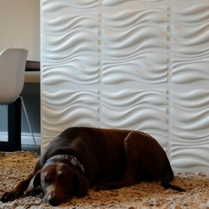 moderne Wandfliesen Design Ideen Wandverkleidung Wohnzimmer Shaggy Teppich Hund