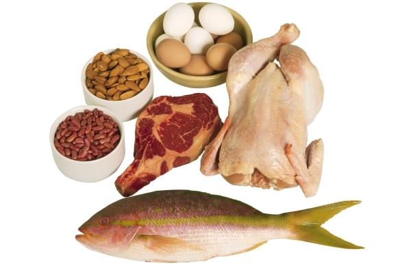 proteinhaltig ernährung eier nüsse geflügel fisch schweinfleisch schlank