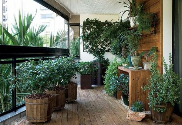 Holz Boden verglast Wintergarten Zimmerpflanzen