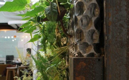 Beton vertikaler Garten anlegen Pflanzen Gemüse Kräuter Büro