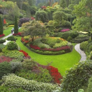 yin yang Garten Gestaltung Feng-Shui Energien -Sha Chi-Rasen blumenwelt