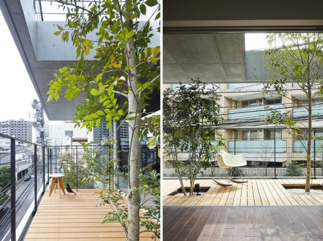 Bäume am Balkon anzucht Holz-Belag Balkon-Modern Gestaltung-ryo matsui-architects balcony-house