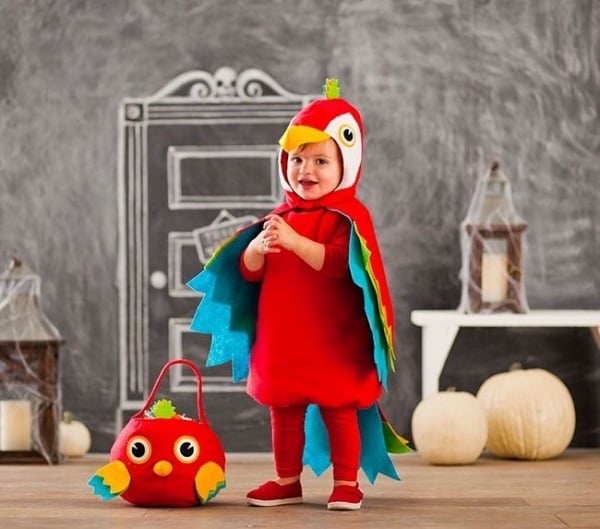 Papagei Kostüm bunt-Kinder Fasching-basteln Ideen stoffreste-Filz 