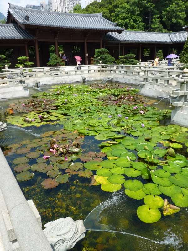 Wasser Gärten-Feng Shui-Gestaltung Wasserteich anlegen tipps