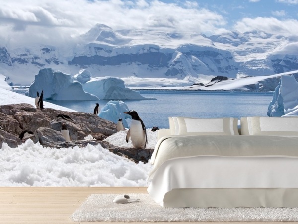 Wandgestaltung ideen Vliestapete Fototapete-Design Polar-Eis Pinguins
