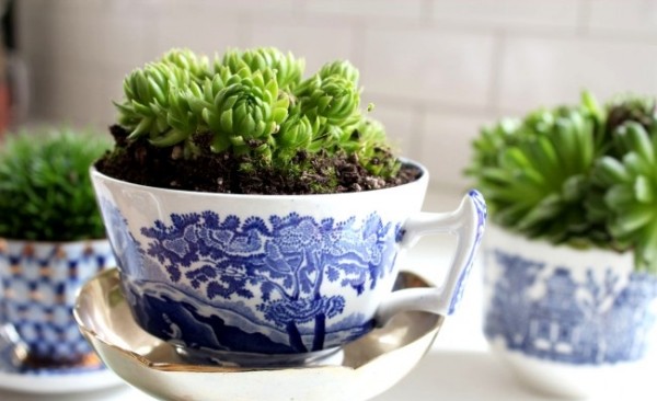 blumen Zimmerpflanzen helfen-gegen stress-Topfpflanzen Teekanne anpflanzen