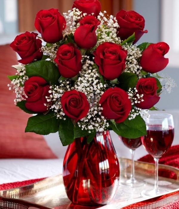 rosen rot weiß traditionell zeitlose idee glas wunderbar
