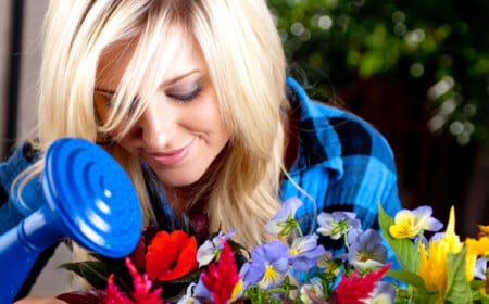 gegen-stress Blumen Zimmerpflanzen-anzüchten garten-indoor