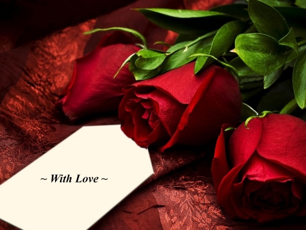 herrlich rote rosen gelegt zettel liebevoll persönliche nachricht romantisch