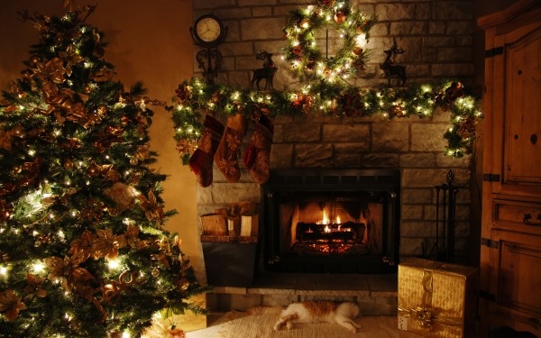 Silvester dekoration weihnacht feuer zuhause katze ruhig baum