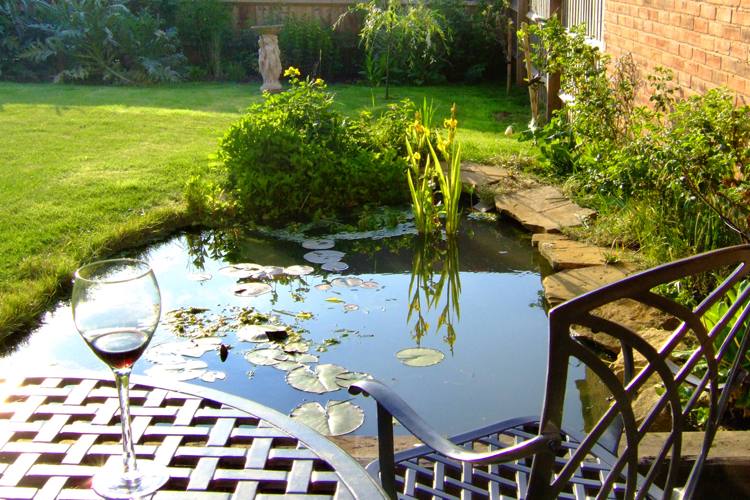 Teich im Garten wasserlilien-wasserpflanzen-schmiedeeisen-moebel-glas-wein