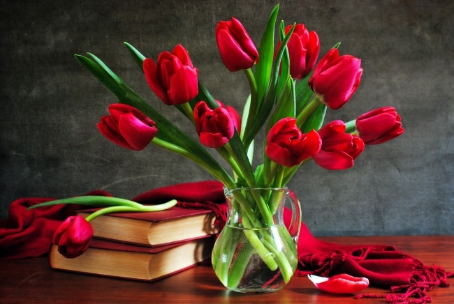 tulpen im garten pflanzen zu hause genießen vase rot