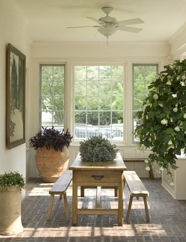 verglaste terrasse sitzplatz aussenbereich pflanzen pflegen
