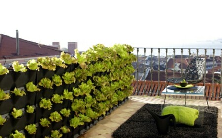 vertikaler Gemüse Garten Balkon Pflegetipps Sommer sonnig Windschutz