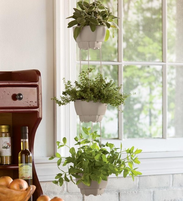 Pflanzen- Zimmer Arten hängend-Indoor Balkon Haus dekorieren 