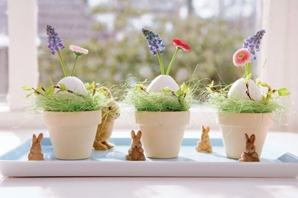 Eier Schalen-Pflanzgefäß schöne-Dekoidee Blumen einpflanzen