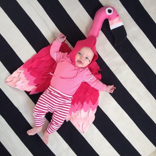 selber machen Flamingo rosa Farbe