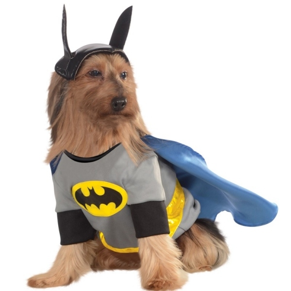 Batman Hundekostüme-Faschingsparty modern Halloween-Karneval Ideen