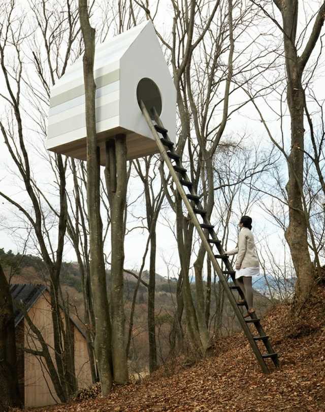Vogel Design Ideen Leiter Holzhoch stabil