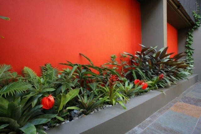 Blumenbeeten Innenhof Mauer Beton orange Farbe