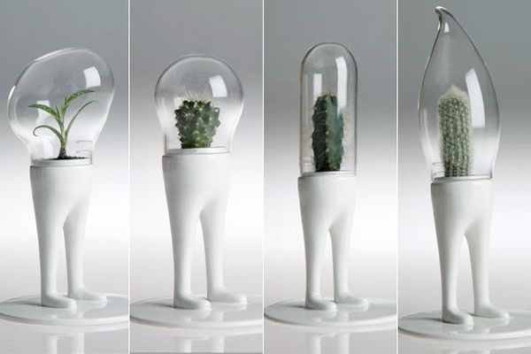 Bonsai Terrarien glas kugel Design-modern Domsai Matteo-Cibic